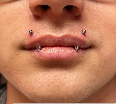 Angel Lip Piercing, Angel Piercing Lips, Vampire Fangs Piercing, Vampire Fangs Piercings, Angle Bite Fangs Piercing, Kitty Fangs Piercing, Angel Bite Piercing Fangs, Angel Fangs Piercing With Snake Bites, Reverse Angel Fangs