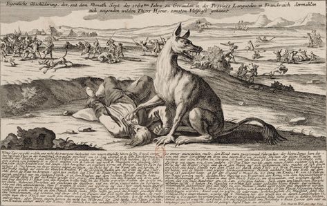 The Beast of Gévaudan (1764–1767) – The Public Domain Review The Beast Of Gevaudan, Beast Of Gevaudan, Magical Wolf, French Illustration, Jungle Music, Punk Princess, History Class, Like A Cat, Limousin