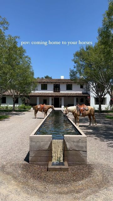 Horse Basics, Ranch Homestead, Luxury Horse Barns, Rancho Santa Fe California, Horse Farm Ideas, Ranches Living, Horse Barn Ideas Stables, Horse Barn Designs, Dream Horse Barns