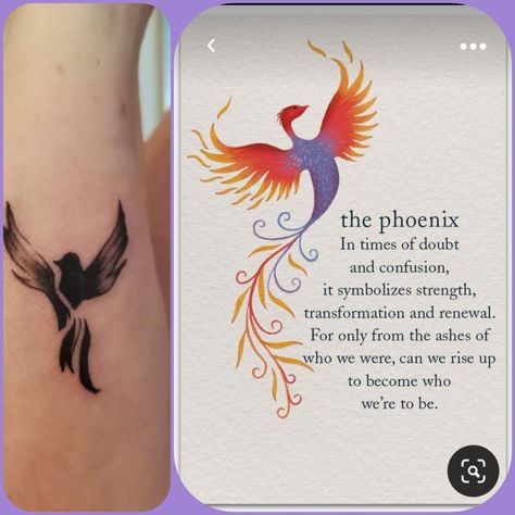 Best Tattoos For Women Classy, Phoenix Quotes, Feminine Arm Tattoos, Classy Tattoos For Women, Phoenix Tattoo Feminine, Cover Up Tattoos For Women, Phoenix Images, Spirit Signs, Small Quote Tattoos