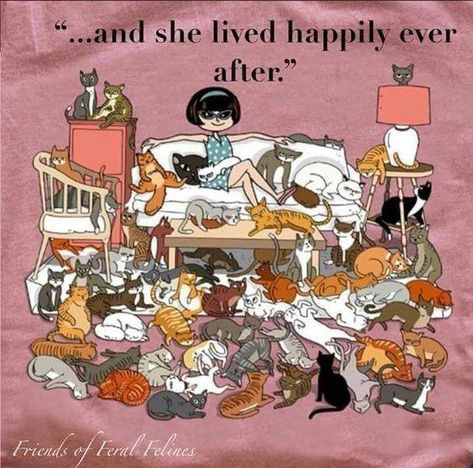 Coffee Kisses, Cat Clown, Foster Adoption, Cat Quotes, Perfect Timing, Foster Care, Cat Stuff, Weird Animals, Crazy Cat