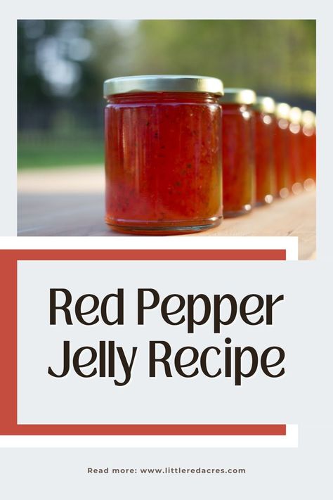 Discover the joy of homemade red pepper jelly with our easy recipe. Perfect for adding a sweet and spicy kick to your dishes. Try it today! Sweet Red Pepper Jelly Recipe, Dr Pepper Jelly Recipe, Best Pepper Jelly Recipe, Red Pepper Jelly Recipe, Pepper Jelly Recipe, Canning Peppers, Pepper Jelly Recipes, Red Pepper Jelly, Jelly Recipe