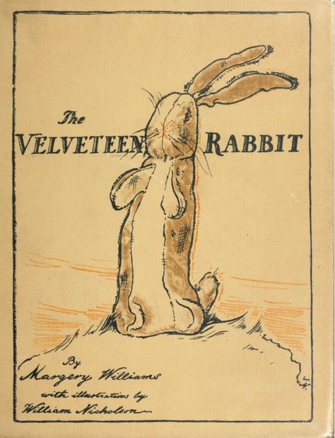 The Velveteen Rabbit, Rabbit Book, Old Children's Books, Velveteen Rabbit, Classic Childrens Books, Vintage Book Covers, Childhood Books, Classic Kids, Children's Literature