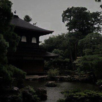 Japan Countryside, Japanese Countryside, Japanese Forest, Chinese Aesthetic, Japan Garden, Desired Reality, Dark Green Aesthetic, Dark Nature Aesthetic, Japanese Landscape