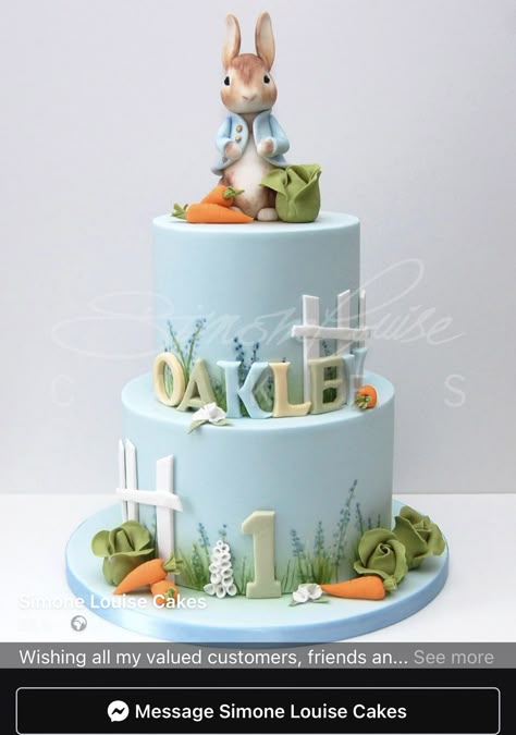 Peter Rabbit Cake Ideas, Peter Rabbit Cakes, Peter Rabbit Cupcakes, Peter Rabbit Baby Shower Cake, Cute Cakes Ideas, Peter Rabbit Birthday Cake, Rabbit Birthday Cake, Bug Birthday Cakes, Peter Rabbit Birthday Party