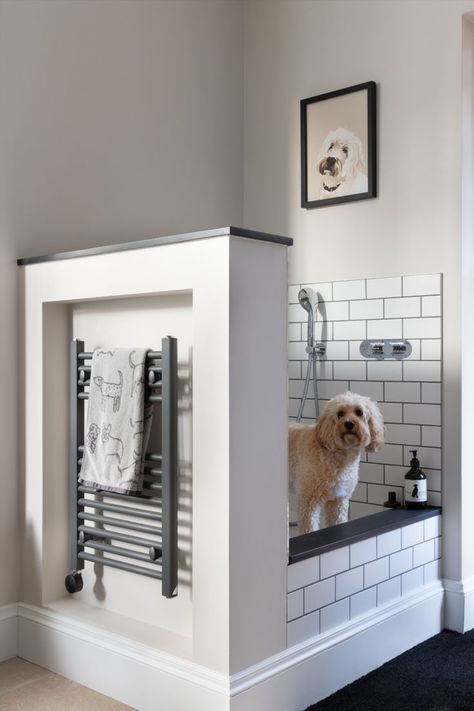 Design Tips For Creating The Perfect Pet Friendly Interiors Mudroom Dog Room, Dog Baths, Classic Contemporary Kitchen, Stacked Laundry, Small Utility Room, Pet Friendly Flooring, Humphrey Munson, Dog Washing Station, Inspiring Interiors