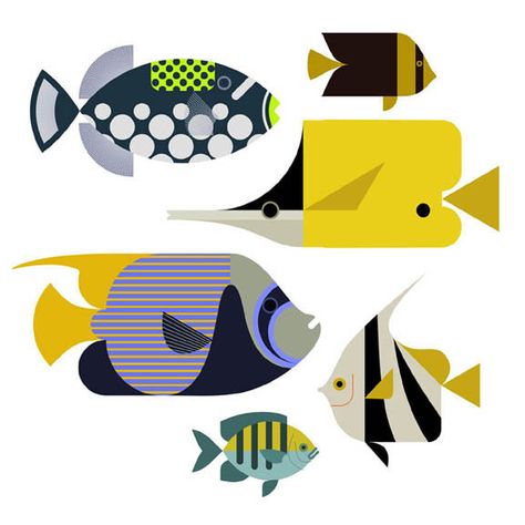 Cr Design, Fish Reference, Scott Partridge, Fantasy Fish, Reef Fish, Fun Images, Colour Texture, Fish Illustration, Support Art