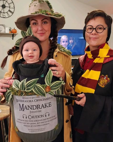 Harry Potter, Professor Sprout, and baby Mandrake Harry Potter Mandrake Costume, Baby Mandrake Costume Diy, Professor Sprout Costume Diy, Mandrake Baby Costume, Professor Sprout Costume, Harry Potter Baby Costume, Harry Potter Themed Costumes, Mandrake Costume, Harry Potter Family Costumes