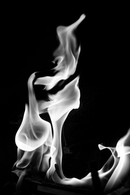 FLAMENCO Fire Black And White, Fire Beautiful, White Flames, Black Flames, Silver Flames, Dragon Fire, Francis Bacon, Black Fire, Black White Photography