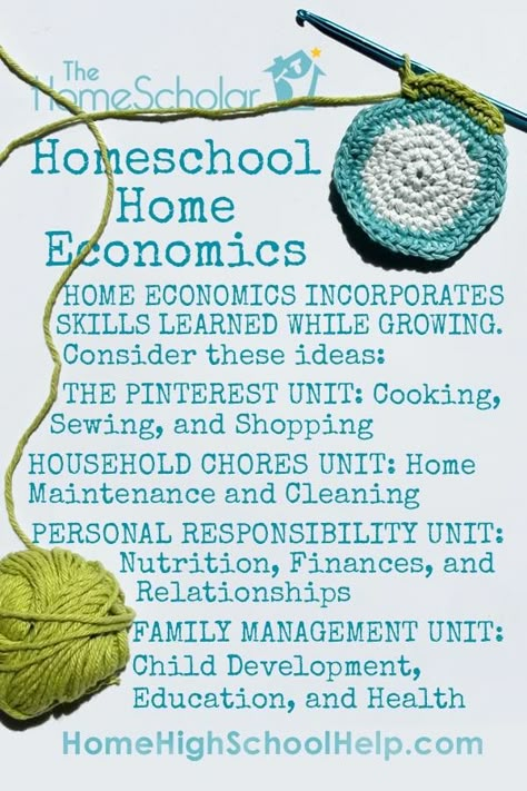 Free Home Economics Curriculum, Homeschool Home Economics, Home Economics Classroom, Economics For Kids, Homeschool Lesson Planner, Homeschool Electives, High School Electives, Homeschool Room Organization, Economics Lessons