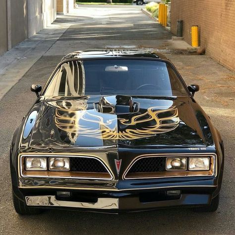 Pontiac Trans Am Firebird, Pontiac Muscle Cars, 1977 Pontiac Firebird Trans Am, 1978 Firebird, Firebird Pontiac, 1978 Trans Am, 1978 Pontiac Firebird, Trans Am Firebird, Bandit Trans Am