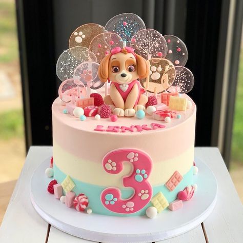 Instagram post by Cukerlandia • Apr 18, 2021 at 3:24pm UTC Paw Patrol Birthday Cake Girl, Cake Themes, Paw Patrol Birthday Cake, Skye Paw, Paw Patrol Cake, Paw Patrol Birthday Party, Baby Birthday Cakes, Paw Patrol Birthday, Birthday Cake Kids