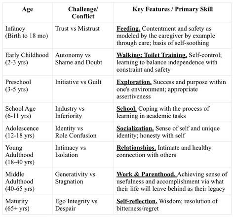 Erikson's Stages of Development Eriksons Stages Of Development, Erikson Stages, Stages Of Development, Nursing School Motivation, Medical School Studying, Medical Anatomy, Nursing Notes, Toilet Training, Preschool Classroom