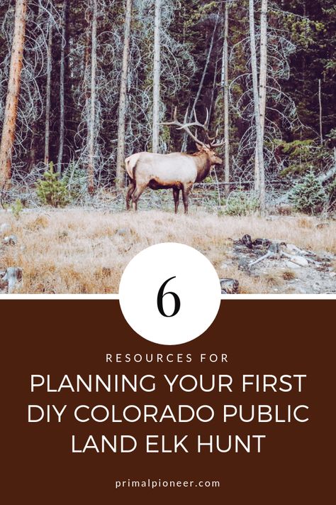 6 Resources for Planning Your First DIY Colorado Public Land Elk Hunt Colorado Elk Hunting Tips, Elk Hunting Colorado, Elk Hunting Tips, Western Hunting, Elk Hunting Gear, Deer Hunting Tips, Hunting Tips, Elk Hunting, Hunting Season