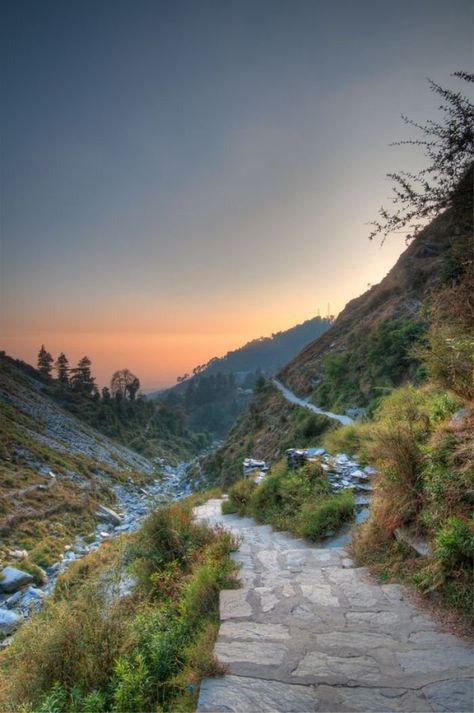 Lose yourself to find yourself A Walk In The Clouds, Historical Temples, Backpacking Destinations, India Places, Dharamsala, Going Abroad, Travel India, Himachal Pradesh, Historical Place