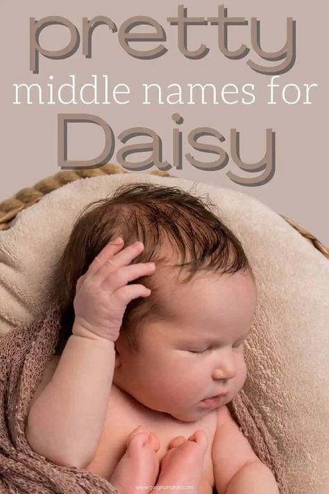 Add a touch of elegance to your baby's name by selecting one of these breathtaking middle names for Daisy. Different Baby Names, Daisy Name, May Name, Feminine Names, Old English Words, Daisy May, Middle Names, Expecting Twins, Daisy Mae