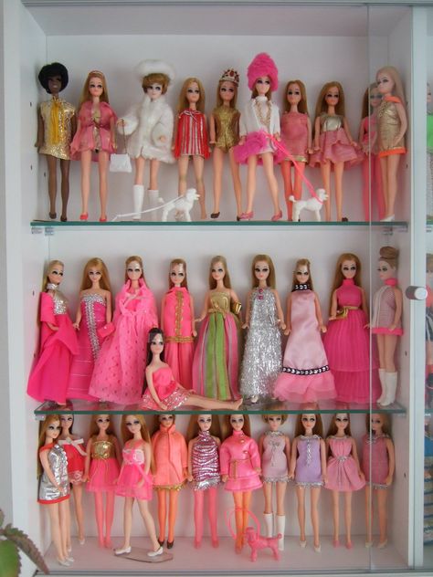 Which Dawn doll is your fav? Angie, Dale, Jessica, Dawn, Glori... Topper Dawn Dolls, Dawn Dolls 1970s Originals, Barbie Display, Vintage Christmas Toys, Dawn Dolls, Childhood Memories 70s, Doll Display, Beautiful Barbie Dolls, 3 Friends