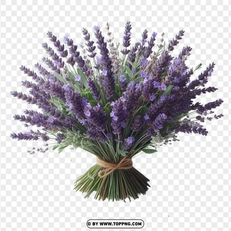 Flowers Bouquet Lavender, Flower Bokeh, Flower Bouquet Png, Bouquet Lavender, Purple Flower Bouquet, Lavender Spray, Lavender Silk, Lavender Bouquet, Transparent Flowers