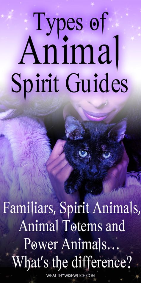 How To Find Your Animal Familiar, Animal Guides Spiritual, Totem Animals Meaning, What Is A Familiar, Familiars Witch Animal, Witch Familiar Animals, Types Of Powers, Witch Notes, Animal Totem Spirit Guides