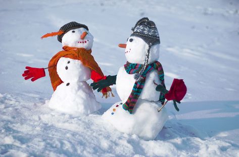 love the hats and scarfs Snowman Tags, Snowman Kit, Snowman Photos, Snow Couple, Snowmen Pictures, Snowman Images, Kids Fitness, Pe Ideas, Funny Snowman