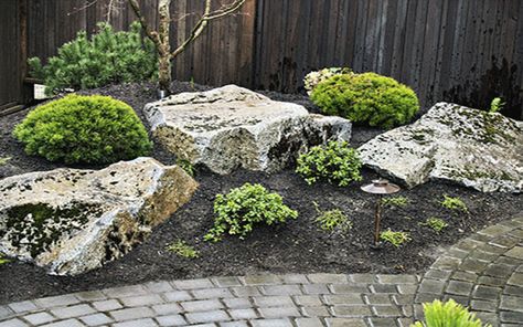 ROCK GARDENS CAPE CORAL Garden Large Rocks, Modern Rock Landscaping, Rock Gardens With Plants Front Yard, Corner Rock Garden Ideas, Small Rock Garden Ideas, Architecture Japanese, Acreage Landscaping, Rock Garden Ideas, Japanese Type