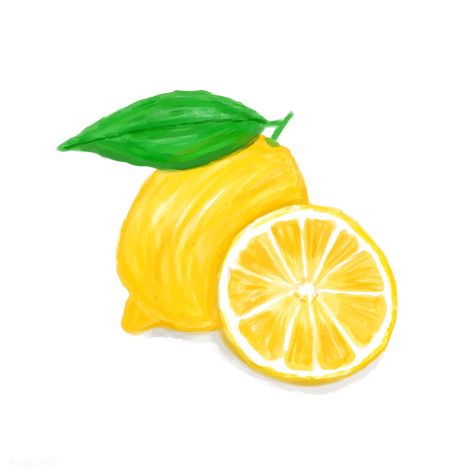 Hand drawn lemon watercolor style | free image by rawpixel.com Lemon Images, Lemon Drawing, Lemon Background, Herbs Illustration, Watercolor Lemon, Lemon Watercolor, Dessert Illustration, Bow Art, Mouth Drawing