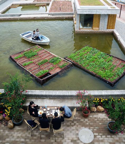 Thomas Chung · Floating Fields. Shenzhen, China Bog Filter, Filter Ideas, Pool Pond, Mangrove Swamp, Working Farm, Abandoned Factory, Floating Garden, Dream Farm, Urban Agriculture