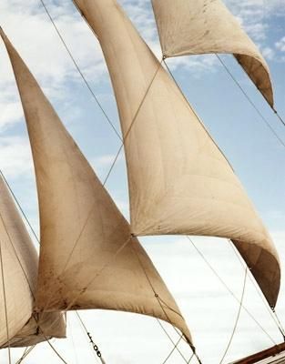 sails Navi A Vela, Sailing Cruises, Mighty Nein, The Grisha Trilogy, Tall Ships, Set Sail, Critical Role, In The Ocean, Yachts