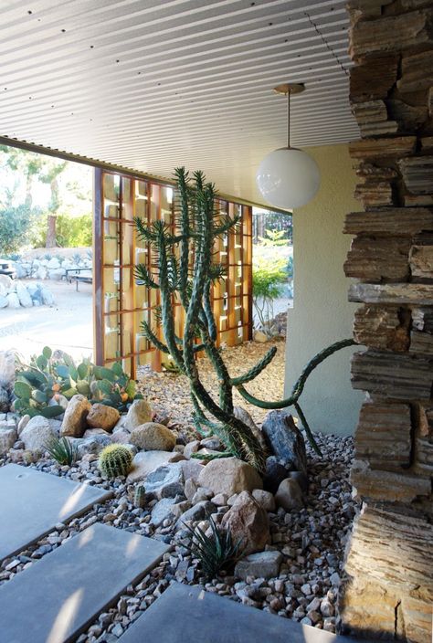 Desert Backyard, Yard Remodel, Pergola Ideas, Modern Desert, Desert Garden, Desert Homes, Desert Plants, Cactus Garden, Modern Landscaping