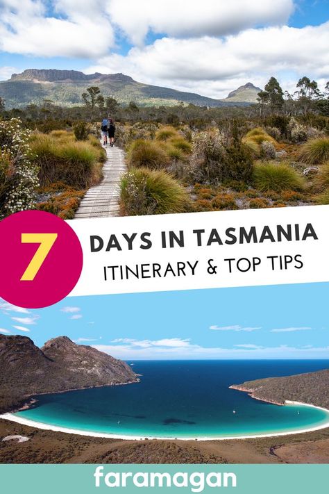 This Tasmania itinerary covers the highlights & hidden gems to make the most of your time. Includes how to spend 7 days in Tasmania with hikes, top tips, campsites, things to do in Tasmania & More. Australia Bucket List, Australia Backpacking, Tasmania Australia, Wine Region, Tasmania, Australia Travel, Top Tips, Hidden Gems, Van Life