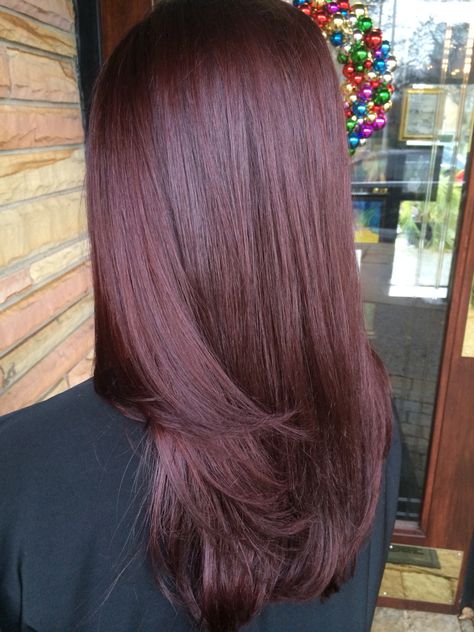 Mahogany Violet hue Haircolor done by Me.! ✔️ Red Color Hair, Pelo Color Borgoña, Pelo Color Vino, Pretty Brown Hair, Violet Hair Colors, Hair Color Mahogany, Mahogany Hair, Hair Color Plum, Hair Color Asian