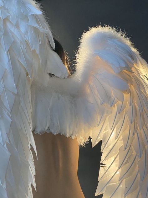 Male Angel Reference, Gay Angel Costume, Angel Clothes Aesthetic, Angle Aethstetic, Angel Aesthetic Male, Male Angel Aesthetic, Angel Boy Aesthetic, Angel Wing Aesthetic, Angel Wings Aesthetic