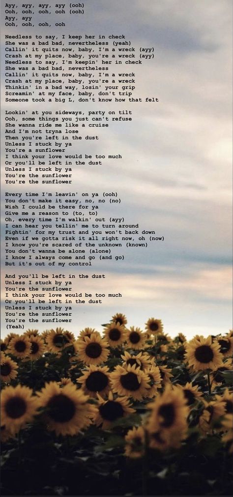 Sunflower Post Malone Wallpaper, Sunflower Lyrics Post Malone, No Profile Picture Icon Tiktok, Sunflower Lyrics, Sunflower Post Malone, Quit Baby, Post Malone Lyrics, Post Malone Wallpaper, Lyrics Wallpaper