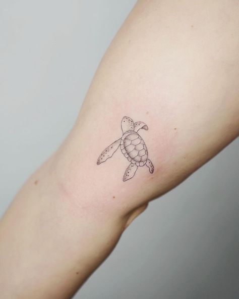 Turtle And Flower Tattoo Hawaii, Minimalist Sea Turtle Tattoo, Fine Line Sea Turtle Tattoo, Green Sea Turtle Tattoo, Baby Sea Turtle Tattoo, Baby Turtle Tattoo, Minimalist Turtle Tattoo, Fine Line Turtle Tattoo, Turtle Tattoo Ideas