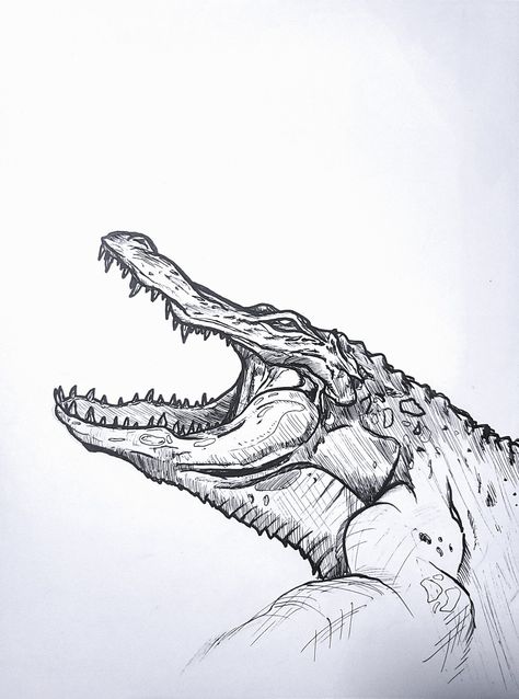 Saltwater Crocodile Drawing, Alligator Sketch, Alligator Drawing, Alligator Tattoo, Saltwater Crocodile, Pen Art Drawings, Art Student, Batman Comic Art, Fantasy Creatures Art