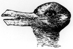 New "Rabbit Or a Duck" Illusion - http://www.moillusions.com/new-rabbit-or-duck-illusion/ Crazy Illusions, Non Verbal Reasoning, Insane In The Brain, Amazing Optical Illusions, Optical Illusions Pictures, Verbal Reasoning, Duck Rabbit, Duck Or Rabbit, Illusion Pictures