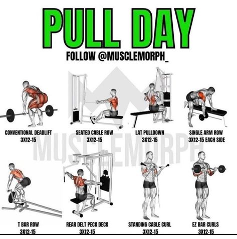 Pull Workout For Men Gym, Pulling Exercises Strength Training, Push Pull Workout Routine Gym, Pull Day Workout Men, Lay Pull Down Workout, Push Vs Pull Workout, Pull Workout For Men, Pull Workout Exercises, Pull Day Workout Women