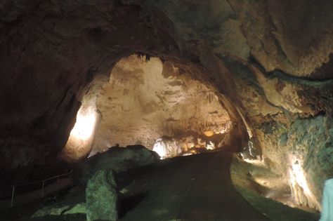 Zip Line 750 ' Over Rio Camuy! - Review of Rio Camuy Cave Park (Parque de las Cavernas del Rio Camuy), Lares, Puerto Rico - TripAdvisor Camuy Caves Puerto Rico, Zip Line, Lake Placid Crocodile, Puerto Princesa Subterranean River, Puerto Rico, Trip Advisor, Art