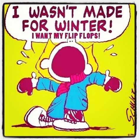 Winter Meme, Winter Humor, Hate Winter, Dog Yoga, Winter Quotes, Snoopy Quotes, Winter Photos, Friday Humor, Charlie Brown And Snoopy