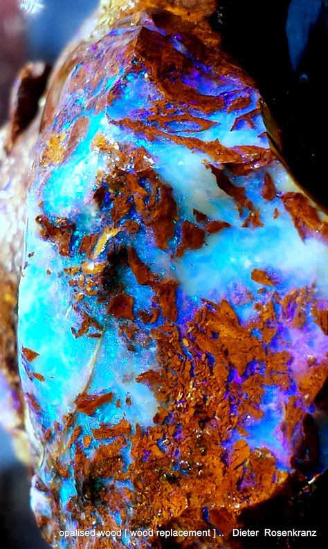 opalised wood [wood replacement Opalized Wood, Geode Rocks, Rocks And Fossils, Rock Minerals, Pretty Rocks, Rock Jewelry, Cool Rocks, Beautiful Rocks, Rock Collection