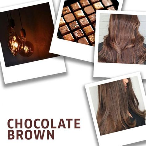 Hair Color Formulas Wella, Wella Formulas, Hair Melt, Hair Formulas, Hair Color Brown Chestnut, Brown Hair Trends, Golden Brown Hair Color, Natural Brown Hair, Chestnut Brown Color