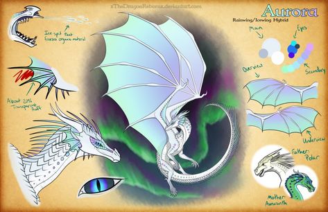 Aurora the RainWing/IceWing XDragonRebornX Dragon Names, Fire Drawing, Wings Of Fire Dragons, Fire Book, Dragon Sketch, Clay Dragon, Reference Sheet, Beautiful Dragon, Dragon Wings