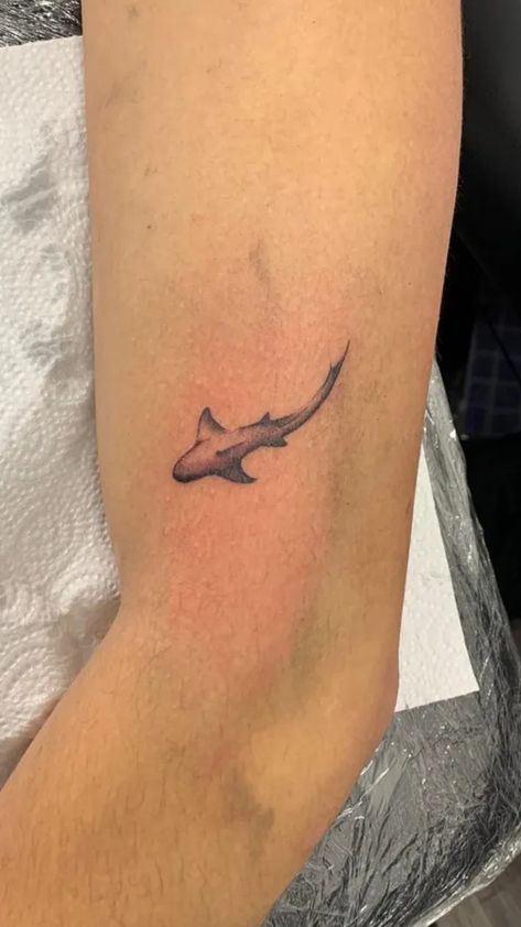 Hammerhead Tattoo, View Tattoo, Small Shark Tattoo, Tattoo Shark, Tattoos Dainty, Hai Tattoo, Element Tattoo, Stingray Tattoo, Shark Tattoo