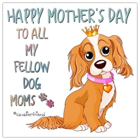 Happy Fur Mom Day, Happy Mothers Day Fur Mom, Happy Mothers Day Dog Mom, Happy Dog Mom Day, Happy Mothers Day Sister, Sicilian Decor, Chic Quotes, Dog Mom Quotes, Dog Mothers Day