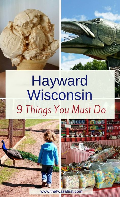 Your family will have nonstop fun when they visit Hayward, Wisconsin.  Read about the 9 things that you cannot miss! #wisconsin #midwest #thatwasafirst Visit Wisconsin, Spooner Wisconsin, Bayfield Wi, Wisconsin Cabin, Travel Destinations Usa, Hayward Wisconsin, Midwest Vacations, Wisconsin Vacation, Exploring Wisconsin