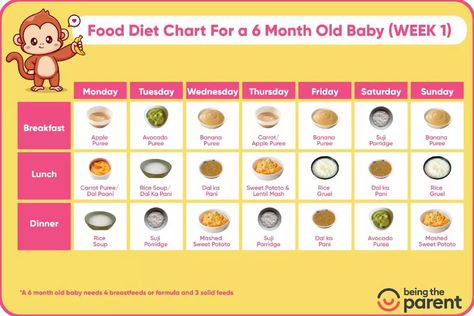 Baby food chart for 6 month old baby 6 Month Baby Feeding Schedule, 6 Month Baby Food Schedule, Foods For 6 Month Old Baby, 6 Month Old Feeding Schedule, 6 Month Baby Food Chart, 6 Month Old Schedule, 6 Months Baby Food, Food Schedule, Baby Food Schedule