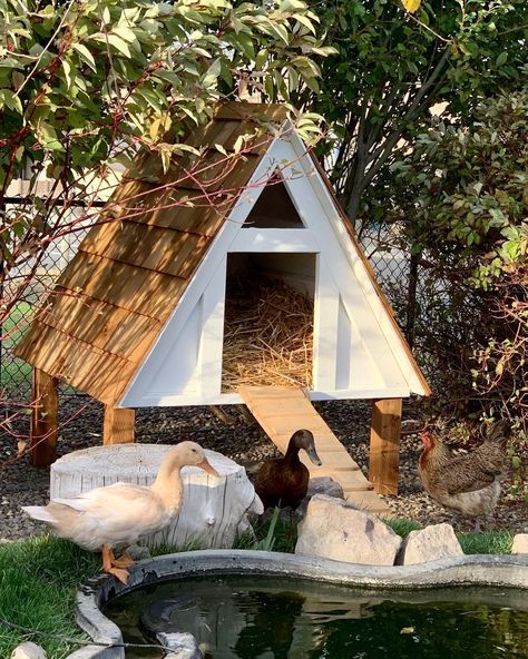 Modern Duck Coop, Duck Habitat Diy, Duck Tractor Coop, Goose Coop Diy, Duck Shelter For Winter, Duck Ideas Diy, Duck House On Pond, Winter Duck House, Duck Coop Winter