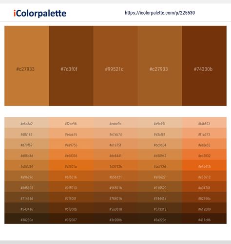 Orange Color Shades, Insta Gif, Ads Video, Turquoise Color Palette, Beige Color Palette, Decor Color Palette, Dark Color Palette, Orange Color Palettes, Hex Color Palette