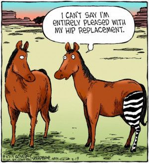 Hip Replacement Funny Quotes. QuotesGram Physical Therapy Humor, Cowboy Humor, Surgery Humor, Therapy Humor, Funny Cartoon Memes, Hip Problems, Hip Surgery, Monday Humor, Golf Humor