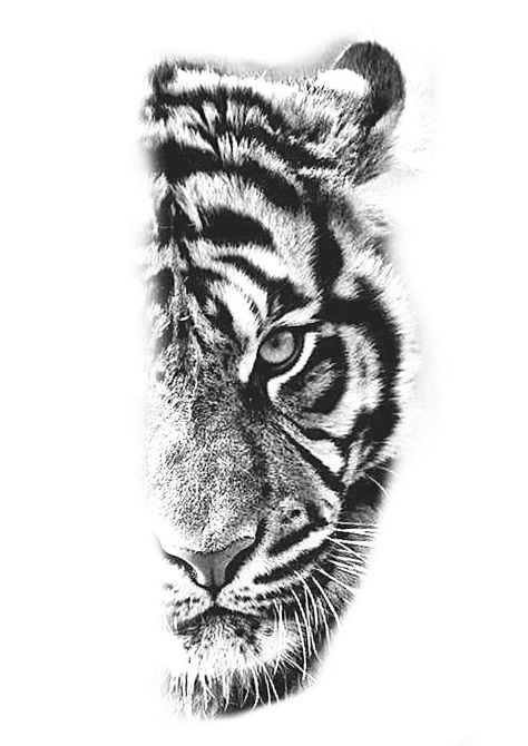 Tattoo Tiger Design, Half Tiger Tattoo, Tiger Tattoo Stencil, Tigres Tattoo, Geometric Tiger Tattoo, White Tiger Tattoo, Tiger Eyes Tattoo, Tiger Face Tattoo, Tiger Head Tattoo